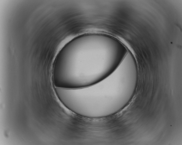 X0000097871437200803140908