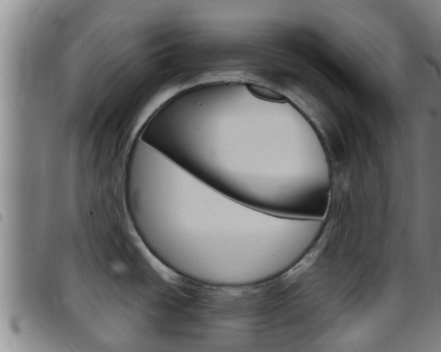 X0000097871438200803140908