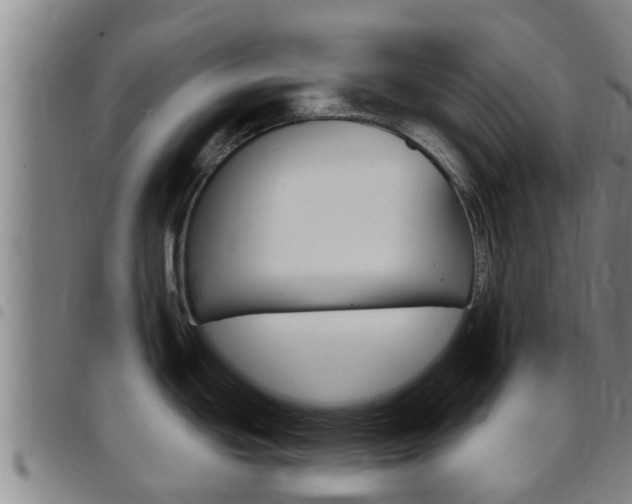 X0000097871439200803140908