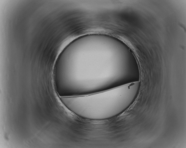 X0000097871440200803140908