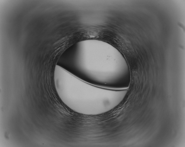 X0000097871442200803140908