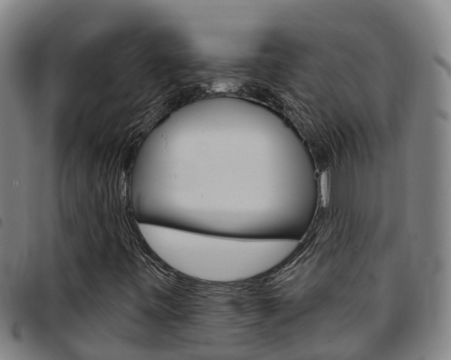 X0000097871443200803140908
