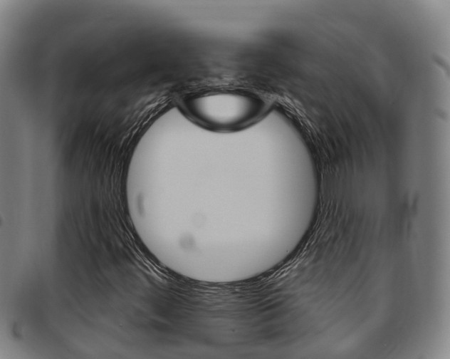 X0000097871444200803140908