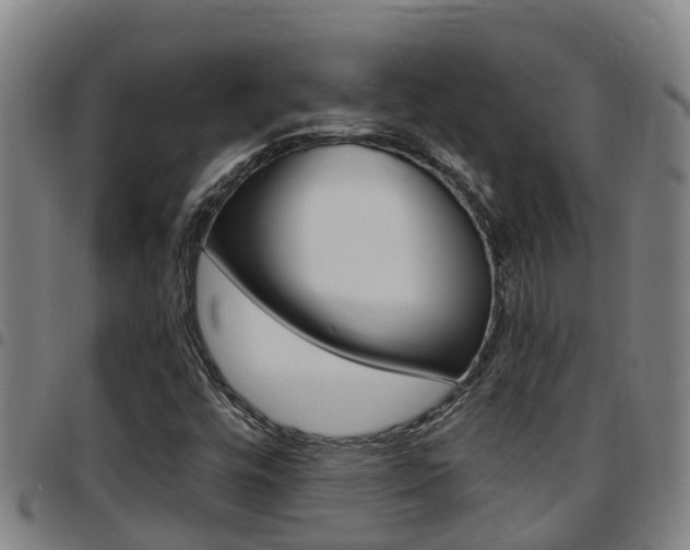 X0000097871448200803140908