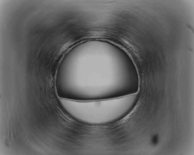 X0000097871449200803140908