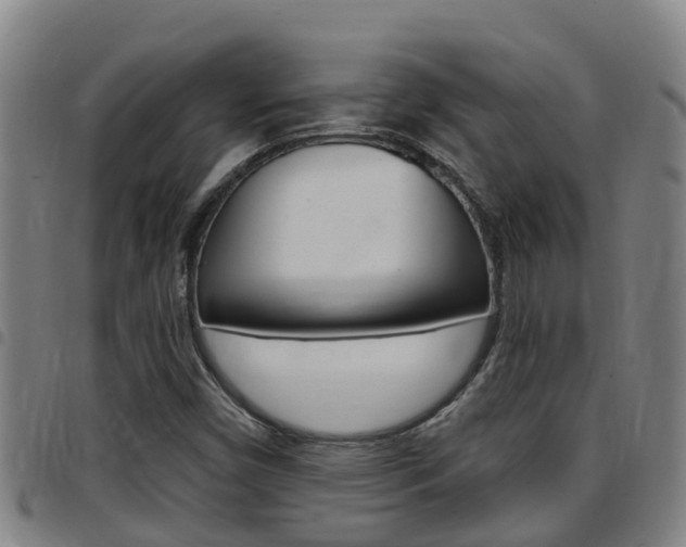 X0000097871450200803140908