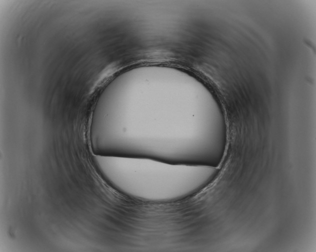 X0000097871451200803140908