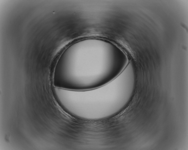 X0000097871452200803140908