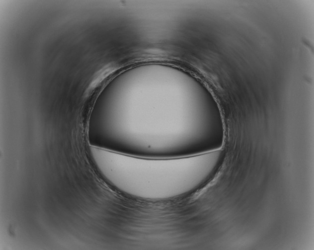 X0000097871453200803140908