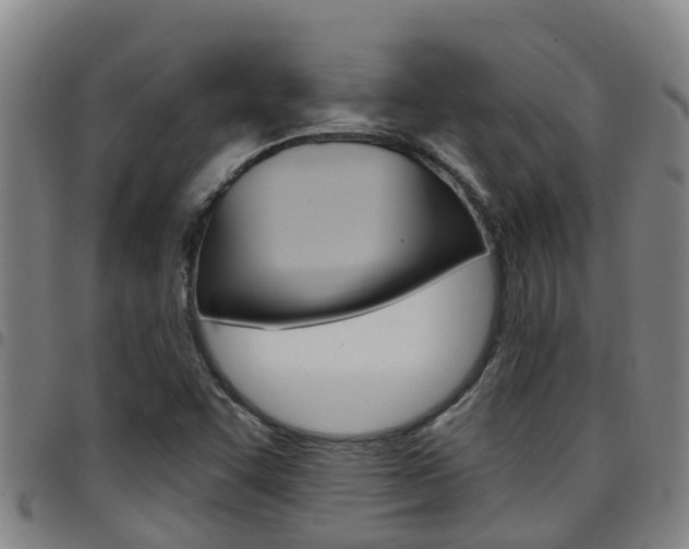 X0000097871455200803140907