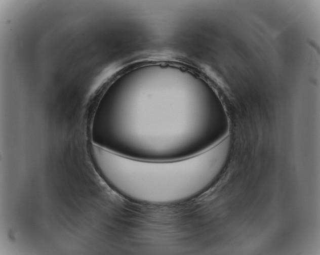 X0000097871456200803140907