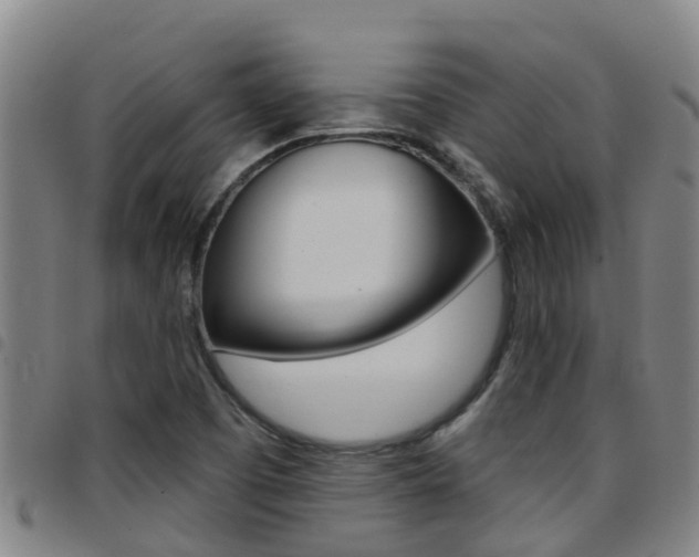 X0000097871457200803140907