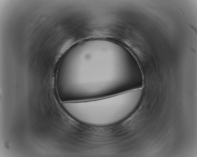 X0000097871459200803140907