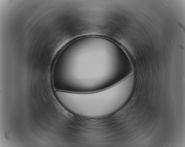 X0000097871460200803140907