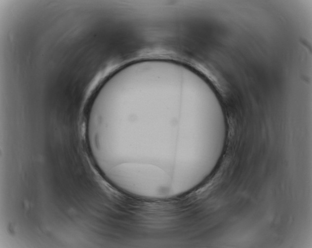X0000097871462200803140907