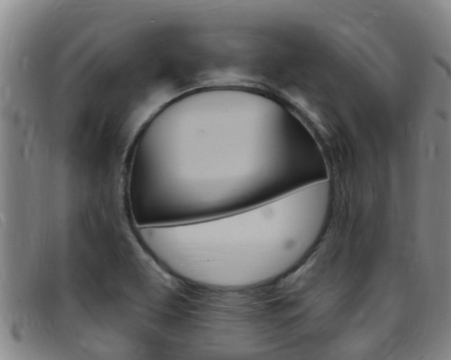 X0000097871463200803140907