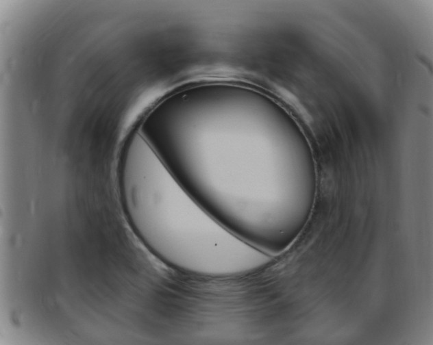 X0000097871464200803140907