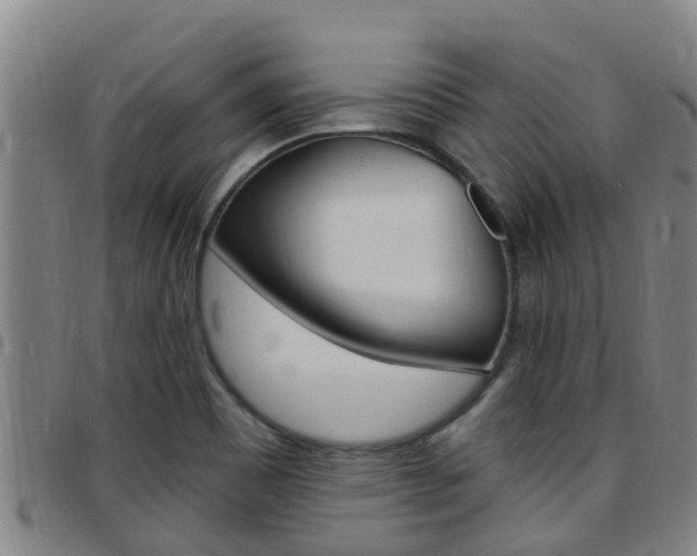 X0000097871465200803140907