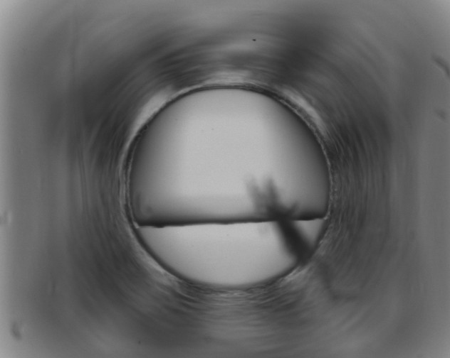 X0000097871467200803140907