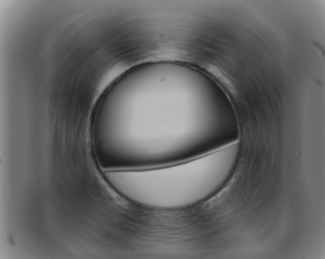 X0000097871469200803140907