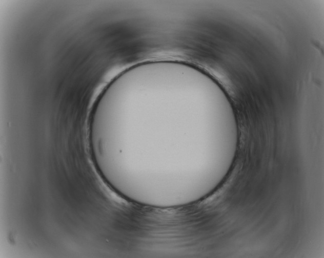 X0000097871470200803140907
