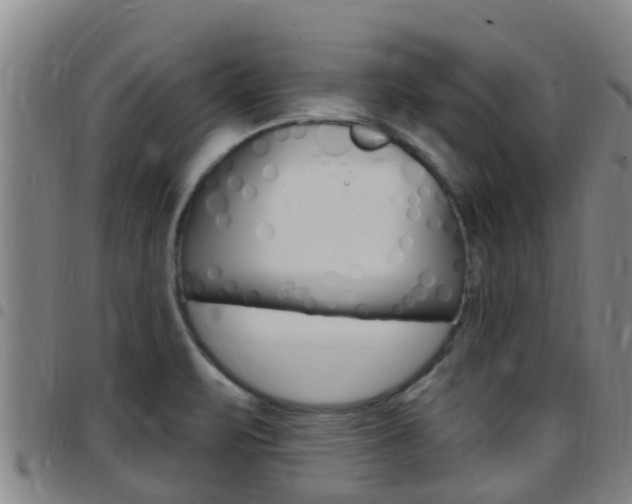 X0000097871471200803140907