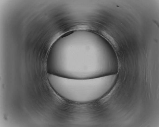 X0000097871473200803140907