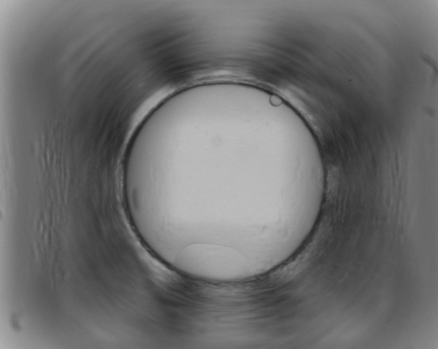 X0000097871474200803140907