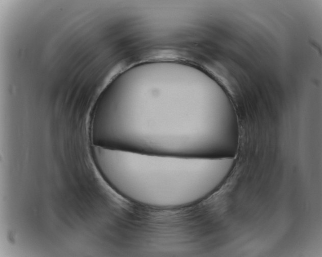X0000097871475200803140907