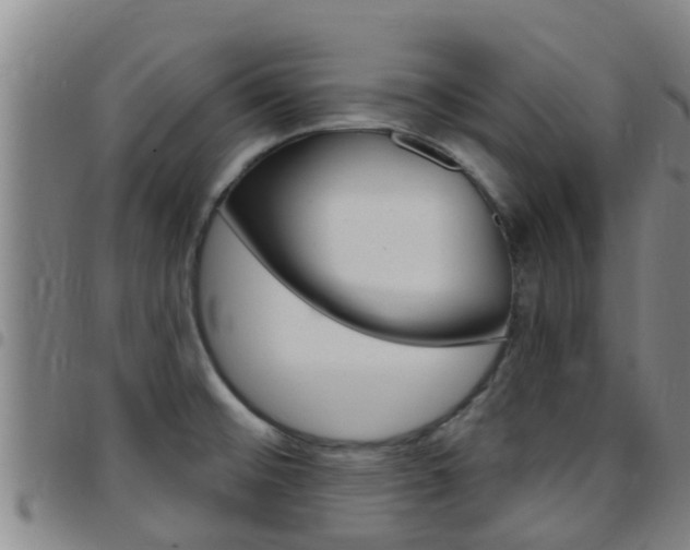 X0000097871476200803140907