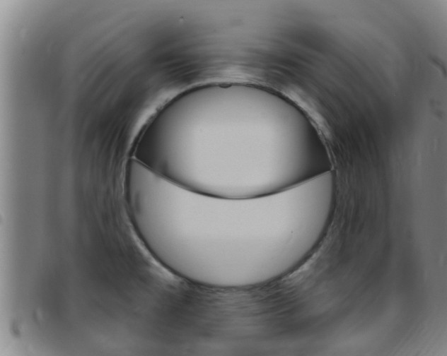 X0000097871477200803140907