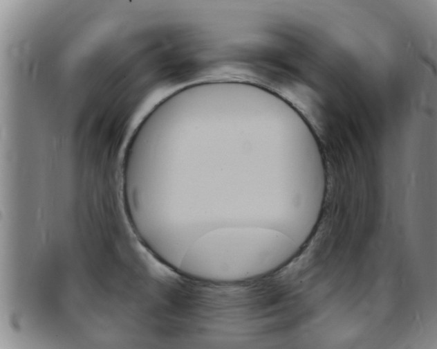 X0000097871478200803140907