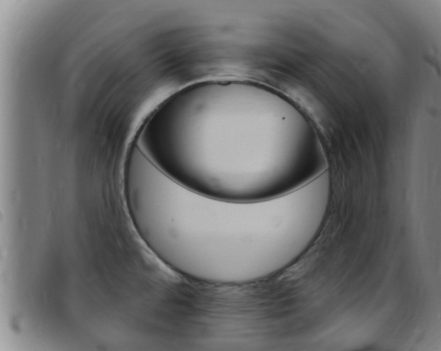 X0000097871480200803140907