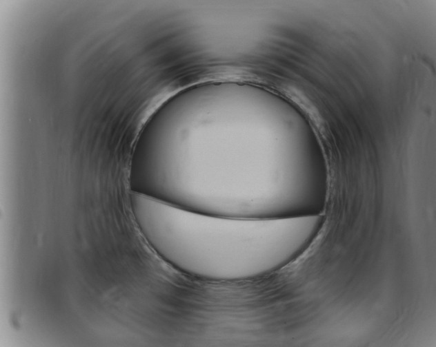 X0000097871481200803140907
