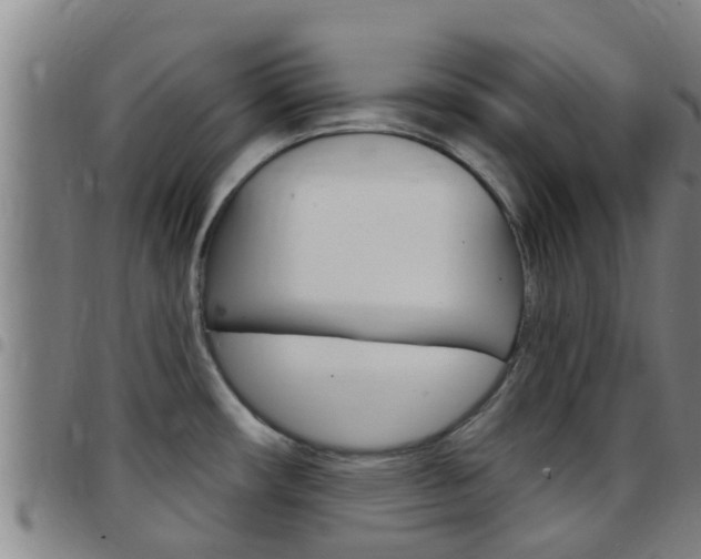 X0000097871482200803140907