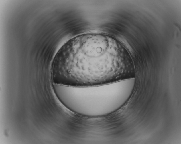 X0000097871483200803140907