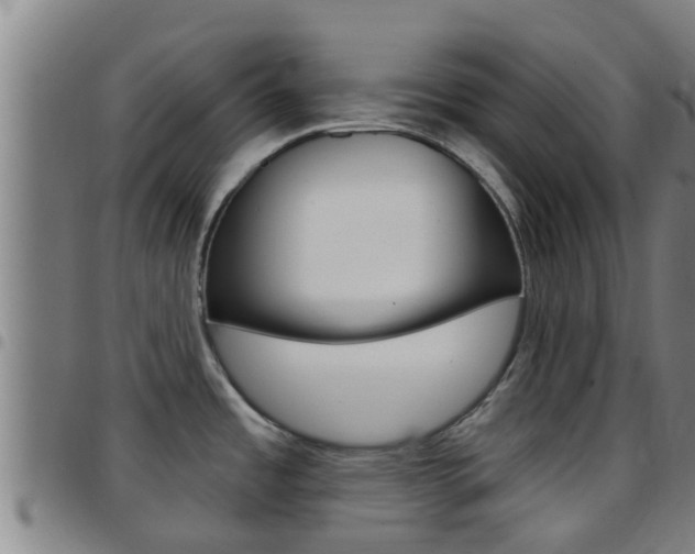 X0000097871485200803140907