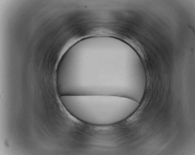 X0000097871486200803140907