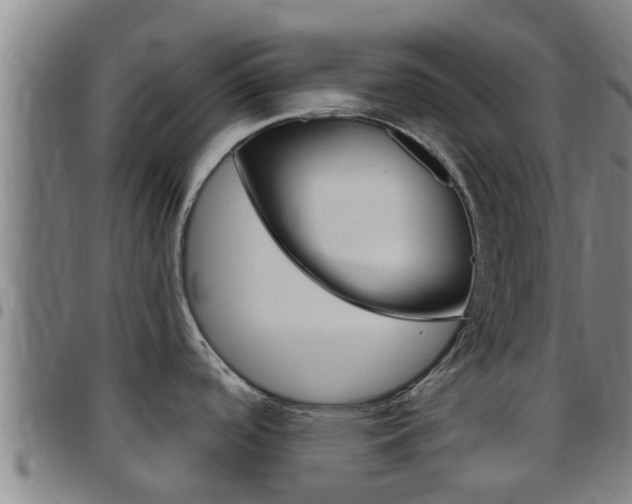 X0000097871488200803140907