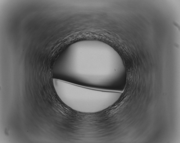 X0000097871490200803140906