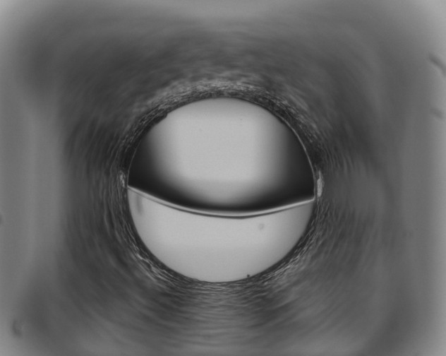 X0000097871492200803140906