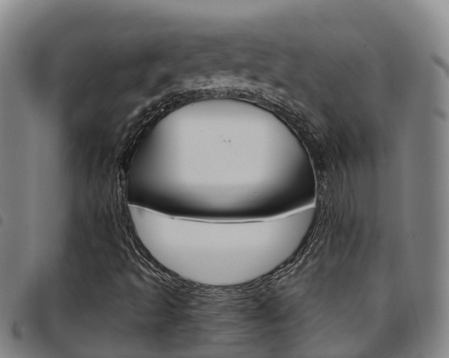 X0000097871493200803140906