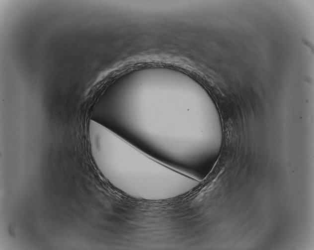 X0000097871494200803140906