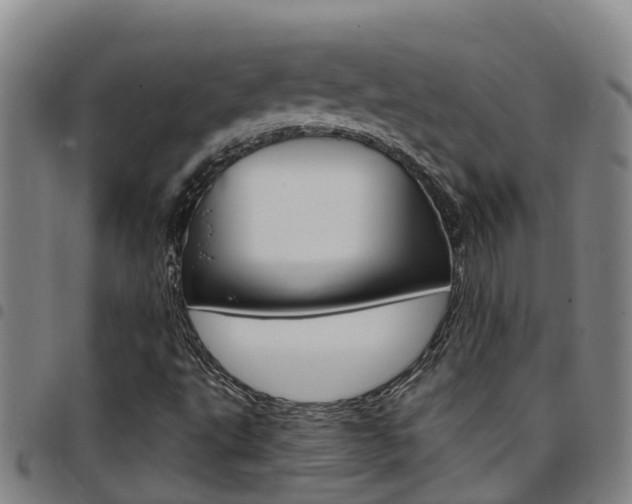 X0000097871495200803140906