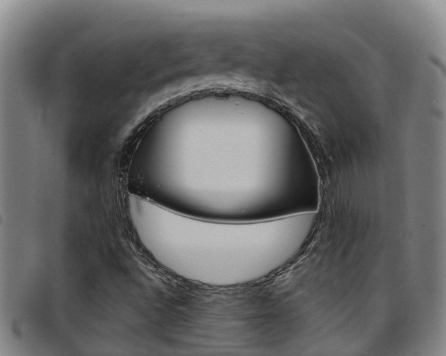 X0000097871496200803140906