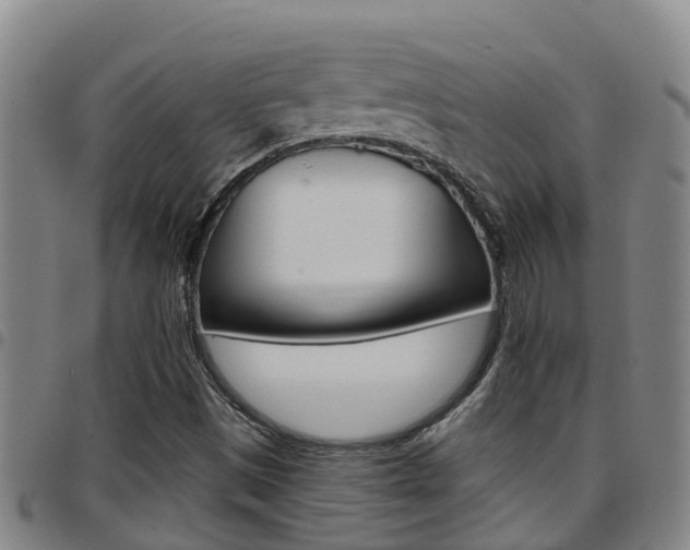 X0000097871497200803140906