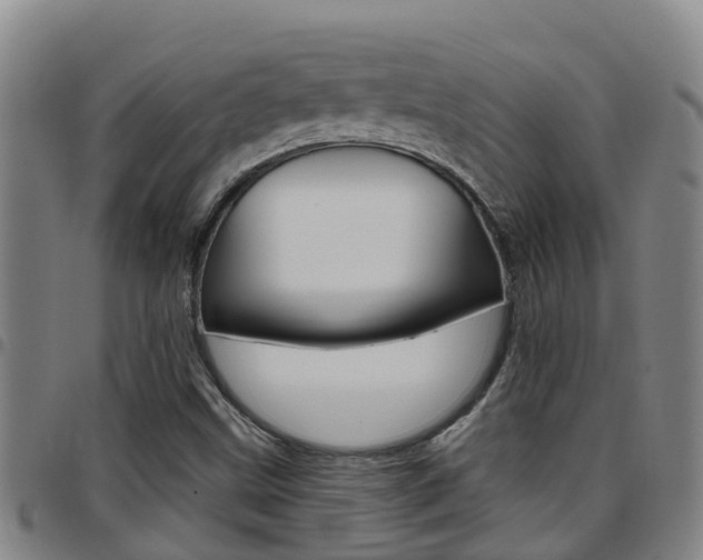 X0000097871499200803140907