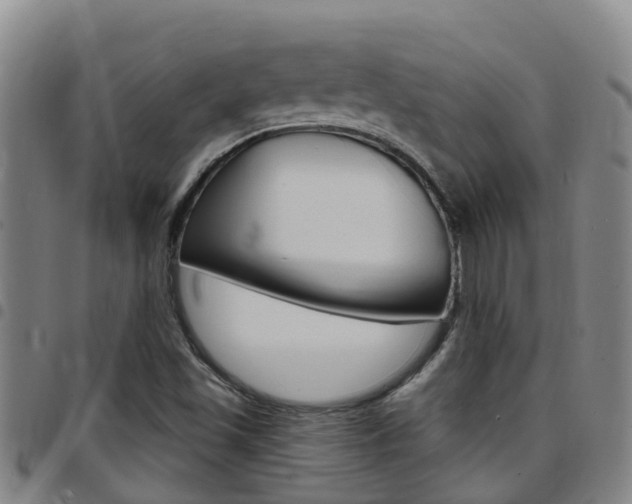 X0000097871501200803140907