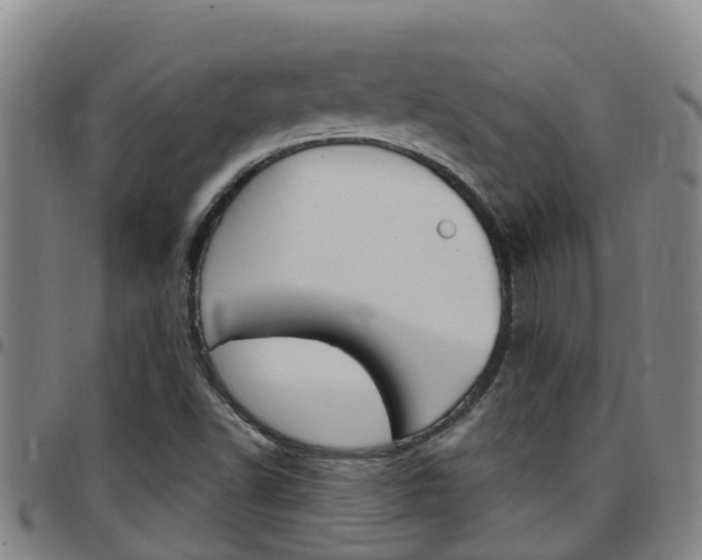 X0000097871502200803140907