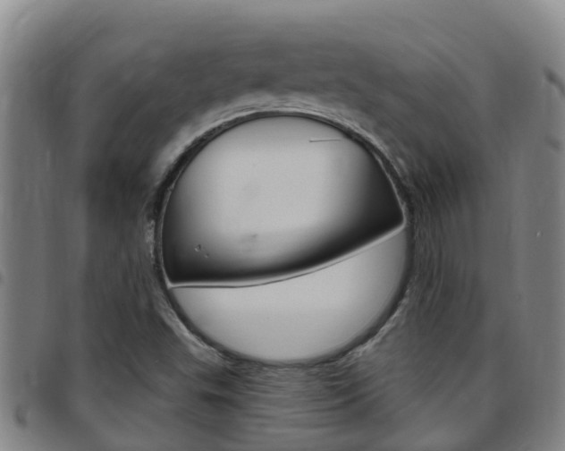 X0000097871503200803140907